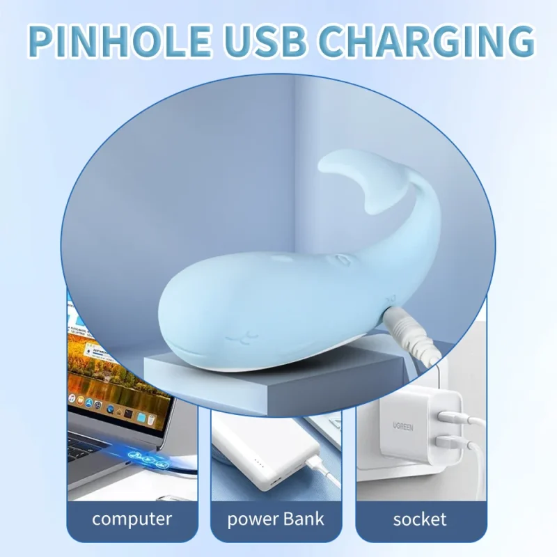 Infographic showing the pinhole USB charging port of the whale-shaped vibrator with compatible power sources including a laptop, power bank, and wall socket.