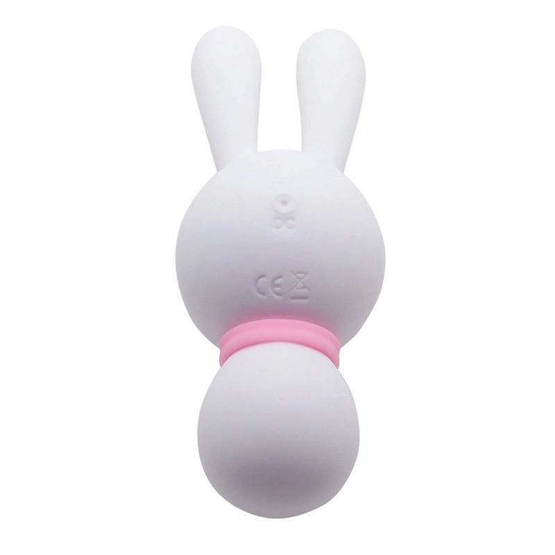 Rear view of the waterproof rabbit stimulator revealing the discreet DC charging port and the quality-standard CE certification markings on the soft-touch surface.