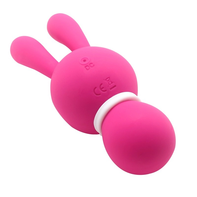 Rear view of the rabbit-style pleasure wand showing the DC charging port and the CE safety certification markings on the high-quality silicone surface.