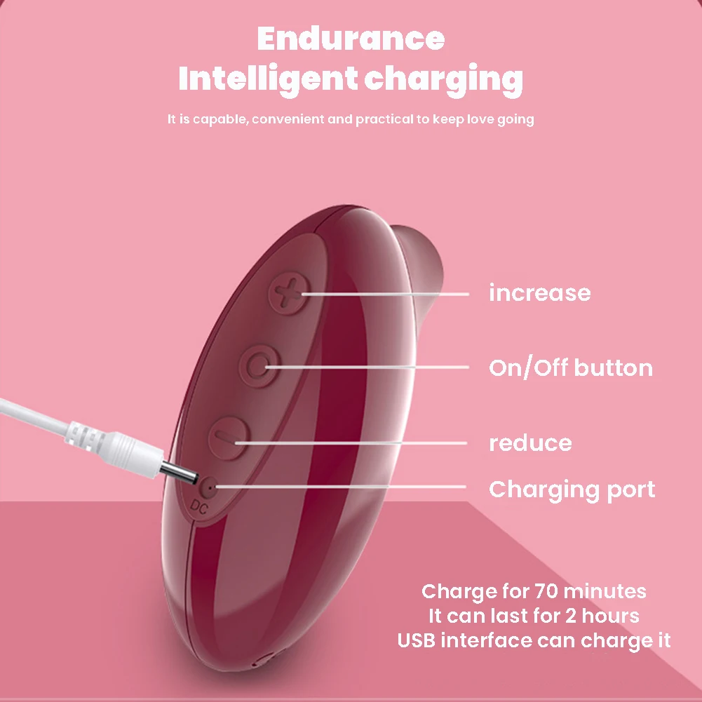 User interface guide for a rechargeable clitoral stimulator showing the power button, intensity controls, and DC charging port with a 2-hour battery life.