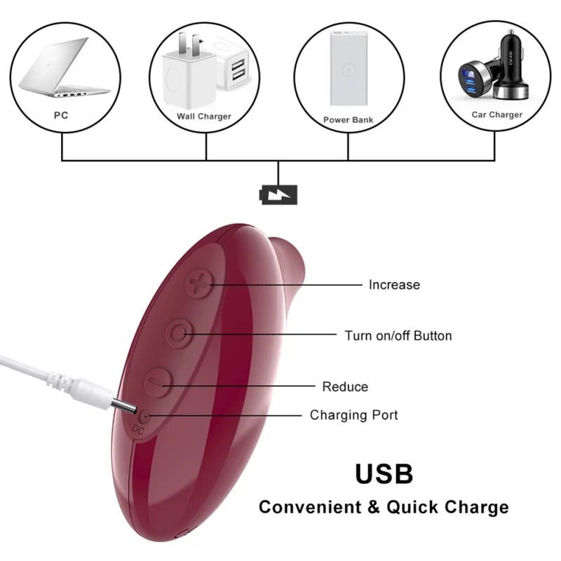 Diagram showing universal USB charging options for a travel-friendly vibrator, compatible with PCs, wall chargers, power banks, and car ports.