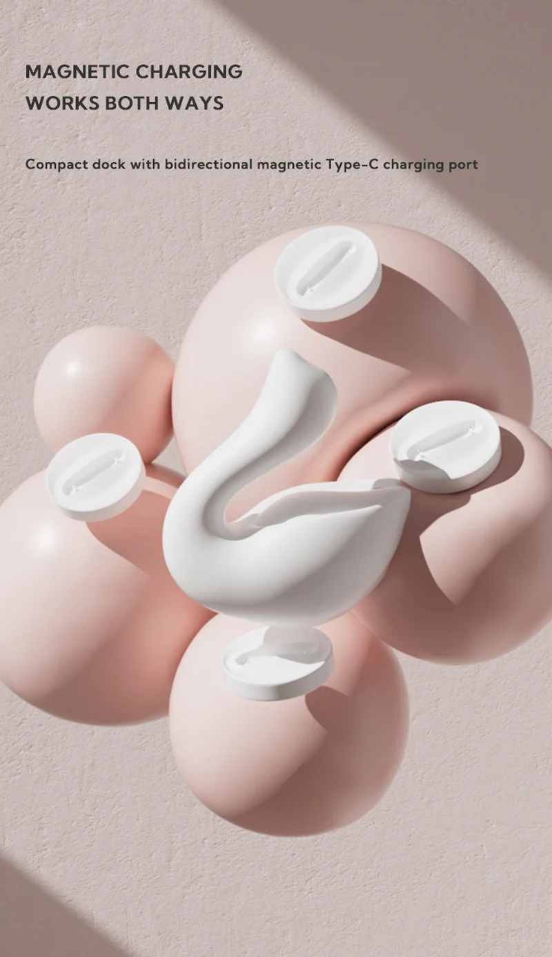 Bidirectional magnetic Type-C charging port and compact dock for a rechargeable adult pleasure tool.