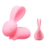 A side-by-side comparison of the pink bunny-shaped clitoral stimulator and its matching ergonomic remote control for hands-free pleasure.