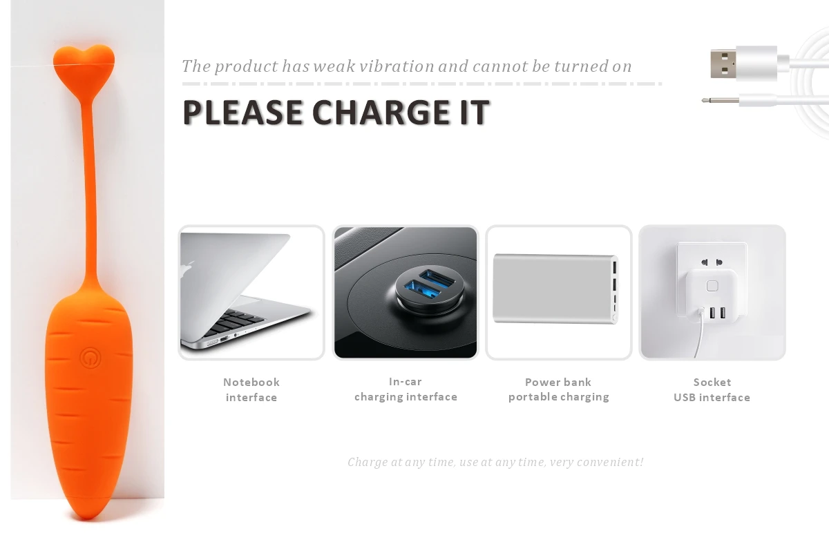 Universal USB charging compatibility for a rechargeable clitoral stimulator showing notebook, car, and power bank connectivity.