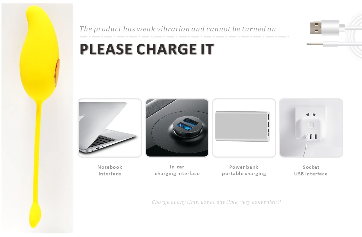 Universal USB charging compatibility guide for the wireless pleasure device showing connection to a laptop, car, and power bank.