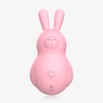 Front view of a soft-touch pink silicone rabbit massager featuring a simplified dual-button interface and a discreet DC charging port, designed for precise external stimulation.