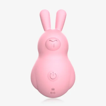 Front view of a soft-touch pink silicone rabbit massager featuring a simplified dual-button interface and a discreet DC charging port, designed for precise external stimulation.