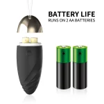 Internal view of the battery-operated pleasure tool showing the compartment for 2 AA batteries for reliable, cord-free power.