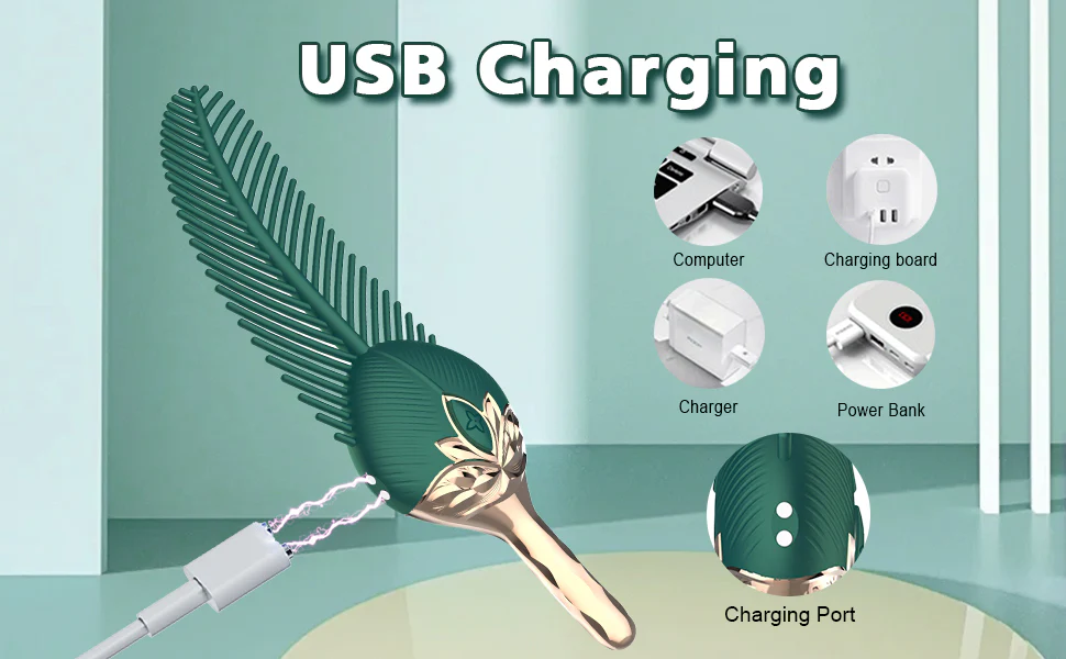 Infographic showing the USB charging versatility of the HH peacock feather vibrator with computer, wall charger, and power bank compatibility.