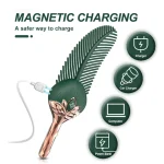 Infographic demonstrating magnetic charging for the peacock feather vibrator with icons for car chargers, laptops, and power banks.