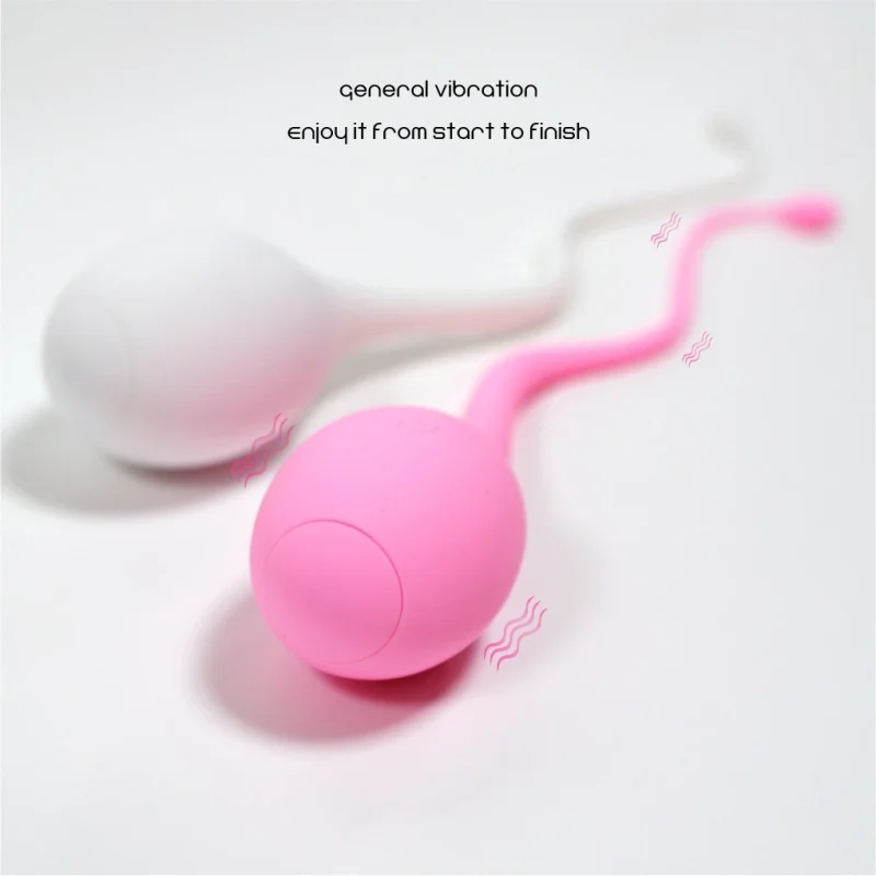 Minimalist view of the Seedsway general vibration models, focusing on the seamless construction and user-friendly interface.