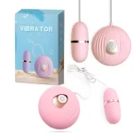 Spark of Love remote control egg vibrator and shell-shaped wireless transmitter shown with its ocean-themed retail packaging and charging cable.